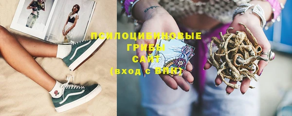 ECSTASY Надым