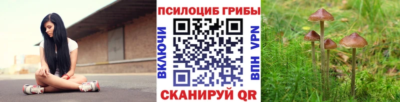 нарко площадка наркотические препараты Козловка Галлюциногенные грибы мицелий продажа наркотиков